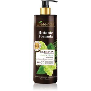 Bielenda Botanic Formula Hops + Horsetail šampon pro poškozené a barvené vlasy