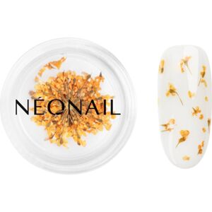 NEONAIL Dried Flowers sušený květ na nehty odstín Orange 1 ks