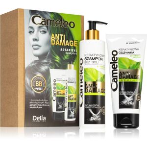 Delia Cosmetics Cameleo Anti Damage dárková sada (pro poškozené a křehké vlasy)