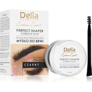 Delia Cosmetics Eyebrow Expert fixační vosk na obočí odstín Black 10 ml