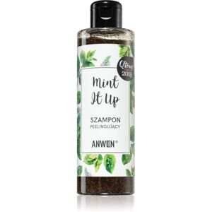 Anwen Mint It Up exfoliační šampon 200 ml
