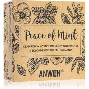 Anwen Peace of Mint tuhý šampon without alu can 75 g