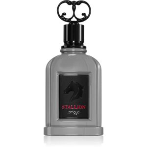 Zimaya Stallion parfémovaná voda pro muže 100 ml