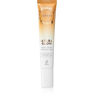 Lumene Natural Glow Skin Tone Perfector tekutý rozjasňovač odstín 2 Perfect Tan 20 ml