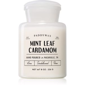 Paddywax Farmhouse Mint Leaf & Cardamom vonná svíčka (Apothecary) 226 g