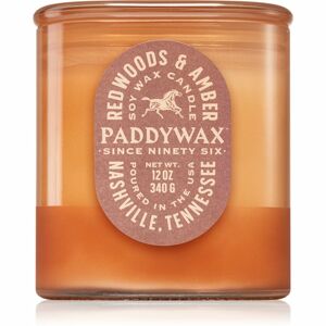 Paddywax Vista Redwoods & Amber vonná svíčka 340 g