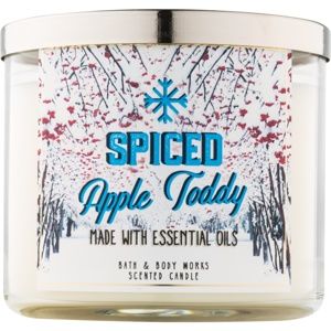 Bath & Body Works Camp Winter Spiced Apple Toddy vonná svíčka 411 g