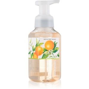 Bath & Body Works Sandalwood & Citrus pěnové mýdlo na ruce