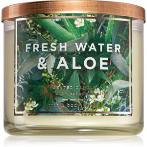 Bath & Body Works Fresh Water & Aloe vonná svíčka 411 g