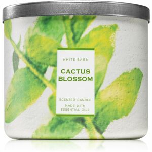 Bath & Body Works Cactus Blossom vonná svíčka s esenciálními oleji 411 g