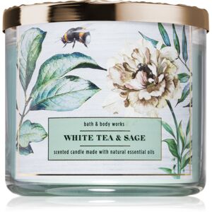 Bath & Body Works White Tea & Sage vonná svíčka s esenciálními oleji 411 g