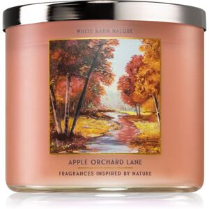 Bath & Body Works Apple Orchard Lane vonná svíčka 411 g
