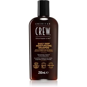 American Crew Hair hydratační šampon pro muže 250 ml
