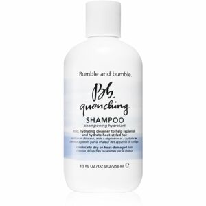 Bumble and Bumble Quenching Shampoo hydratační šampon 250 ml