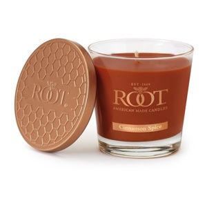 Root Candles Cinnamon Spice vonná svíčka 179 g