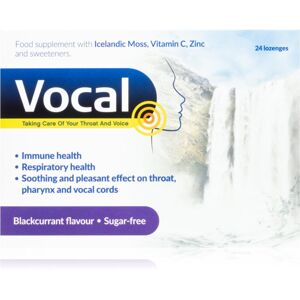 Vocal Vocal pastilky bez cukru s příchutí Černý rybíz doplněk stravy pro podporu zdraví hlasivek 24 ks