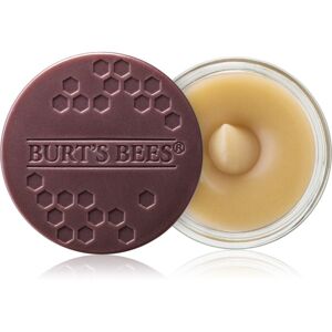 Burt’s Bees Lip Scrub peeling na rty s vyživujícím účinkem 7,08 g