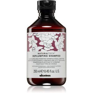 Davines Naturaltech Replumping Conditioner hydratační šampon 250 ml