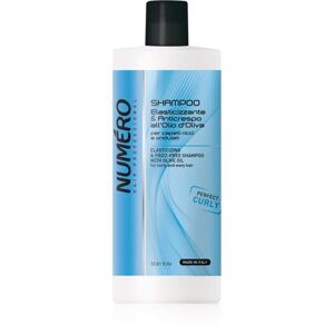 Brelil Numéro Elasticizing & Frizz-Free Shampoo hydratační šampon pro vlnité a kudrnaté vlasy 1000 ml