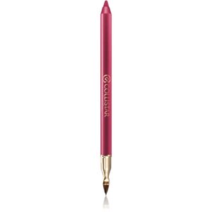 Collistar Professional Lip Pencil dlouhotrvající tužka na rty odstín 113 Autumn Berry 1,2 g