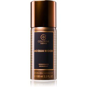 Collistar Acqua Wood deodorant ve spreji pro muže 100 ml