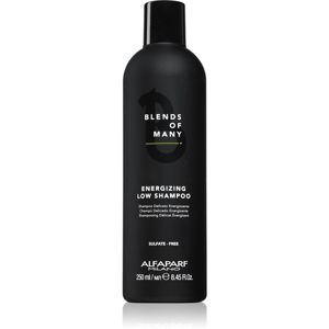 Alfaparf Milano Blends of Many Energizing energizující šampon pro jemné a zplihlé vlasy 250 ml