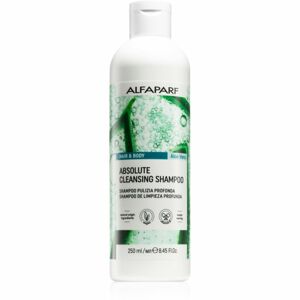 Alfaparf Milano Hair & Body Aloe Vera čisticí šampon na tělo a vlasy 250 ml