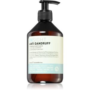 INSIGHT Anti Dandruff čisticí šampon proti lupům 400 ml