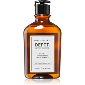 Depot No. 101 Normalizing Daily Shampoo normalizující šampon pro každodenní použití 250 ml