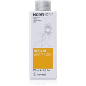 Framesi Morphosis Repair Conditioner vyživující šampon pro obnovu a posílení vlasů 250 ml