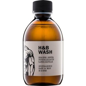 Dear Beard Shampoo H & B Wash šampon a sprchový gel 2 v 1
