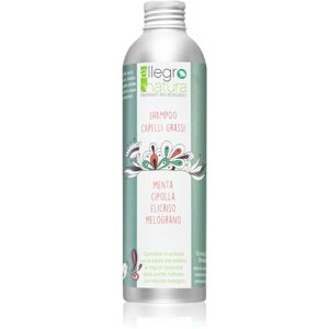 Allegro Natura Organic šampon pro mastné vlasy 250 ml