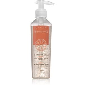 Gyada Cosmetics Reinassance micelární čisticí gel 200 ml