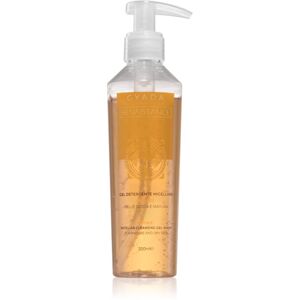 Gyada Cosmetics Reinassance čisticí micelární gel 200 ml