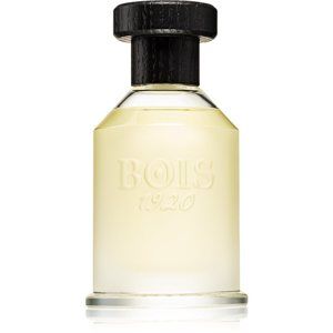 Bois 1920 Classic 1920 parfémovaná voda unisex 100 ml