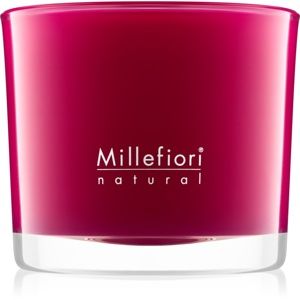 Millefiori Natural Grape Cassis vonná svíčka 180 g