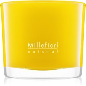 Millefiori Natural Pompelmo vonná svíčka 180 g