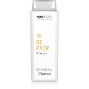 Framesi Morphosis Repair obnovující šampon pro suché, namáhané vlasy 250 ml