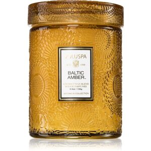 VOLUSPA Japonica Baltic Amber vonná svíčka 156 g