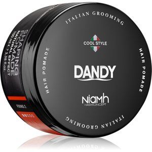 DANDY Shaping Pomade Natural Effect tvarující pomáda do vlasů 100 ml