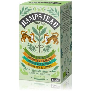 Hampstead Tea London Green Tea Selection porcovaný čaj 20 ks