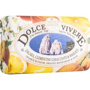 Nesti Dante Dolce Vivere Capri přírodní mýdlo 250 g