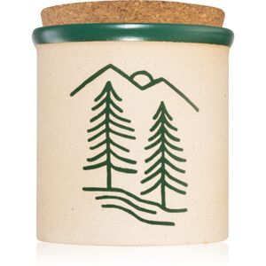 Paddywax Cypress & Fir Dune vonná svíčka green 226 g