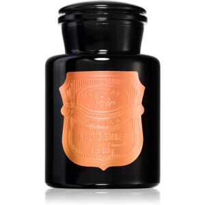 Paddywax Apothecary Noir Baltic Ember vonná svíčka 226 g