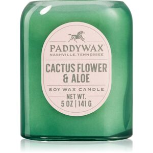 Paddywax Vista Cactus Flower & Aloe vonná svíčka 142 g