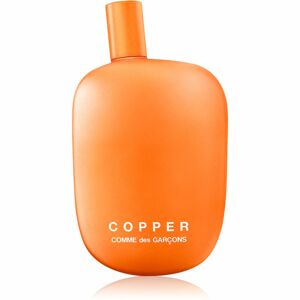 Comme des Garçons Copper parfémovaná voda unisex 100 ml