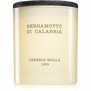 Cereria Mollá Boutique Bergamotto di Calabria vonná svíčka 230 g