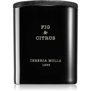 Cereria Mollá Boutique Fig & Citrus vonná svíčka 230 g
