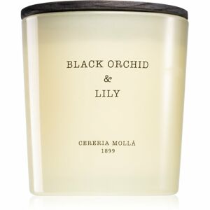Cereria Mollá Boutique Black Orchid & Lily vonná svíčka 600 ml