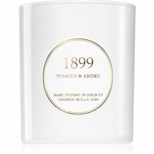 Cereria Mollá Gold Edition Tobacco & Amber vonná svíčka 230 g